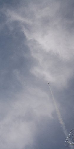 2012 Svojek mirek patek